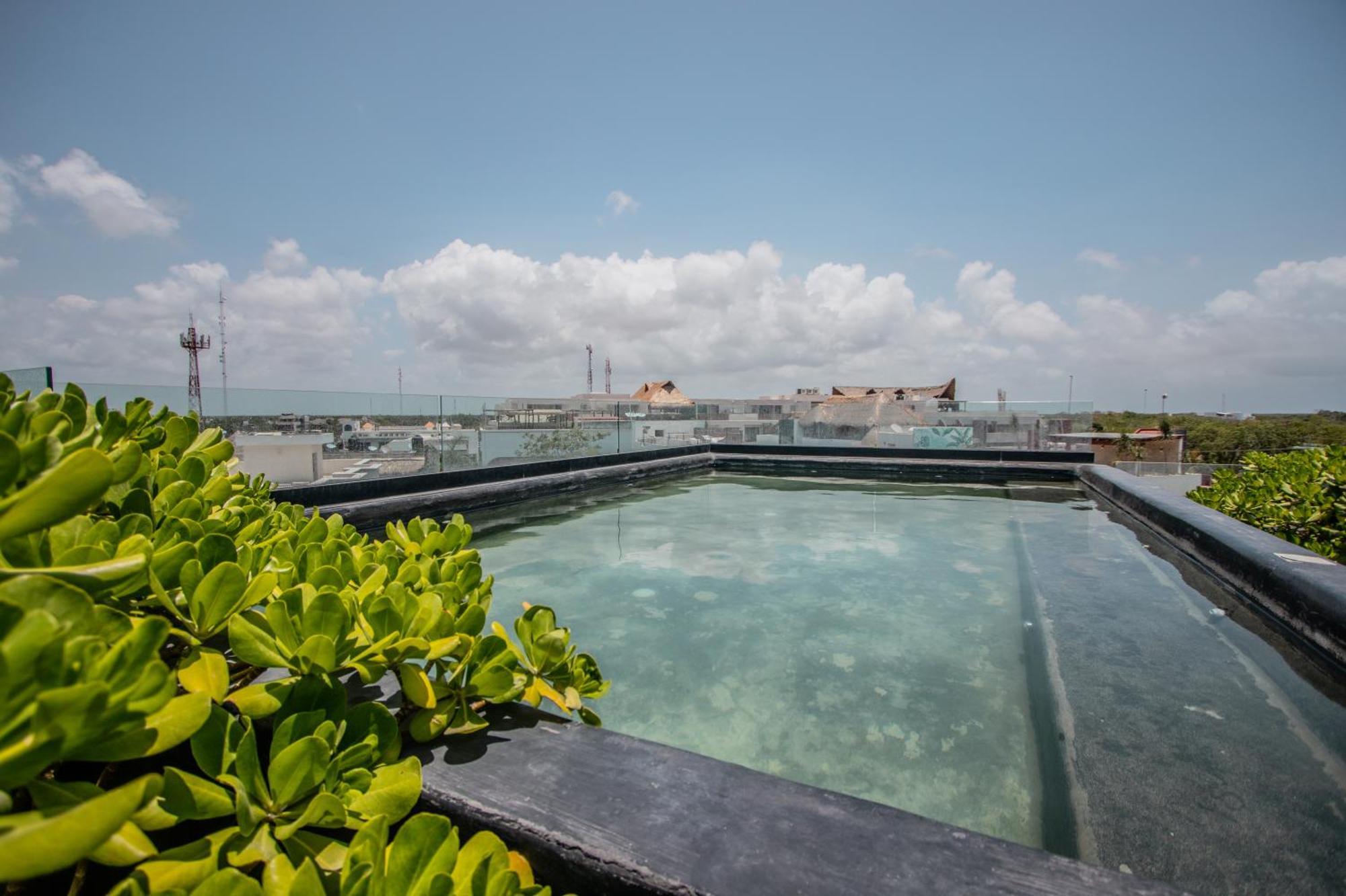 Depto De Lujo Con Plunge Pool Privada Apartment *